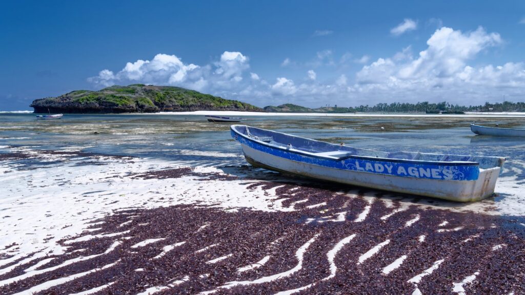 Tranquil beach scene featuring a traditional boat on the shores of Watamu, Kenya.