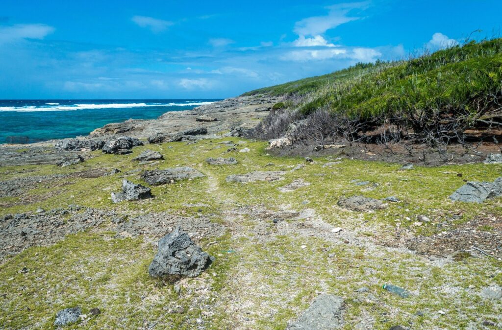 sea, seashore, coral, ocean, beach, water, sky, sand, seascape, summer, nature, wave, clouds, island, rocks, coast, landscape, paradise, rodrigues, mauritius
