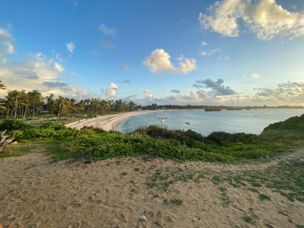 a sandy beach with palm trees and boats in the water
