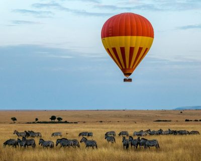 red and yellow hot air balloon over field with zebras