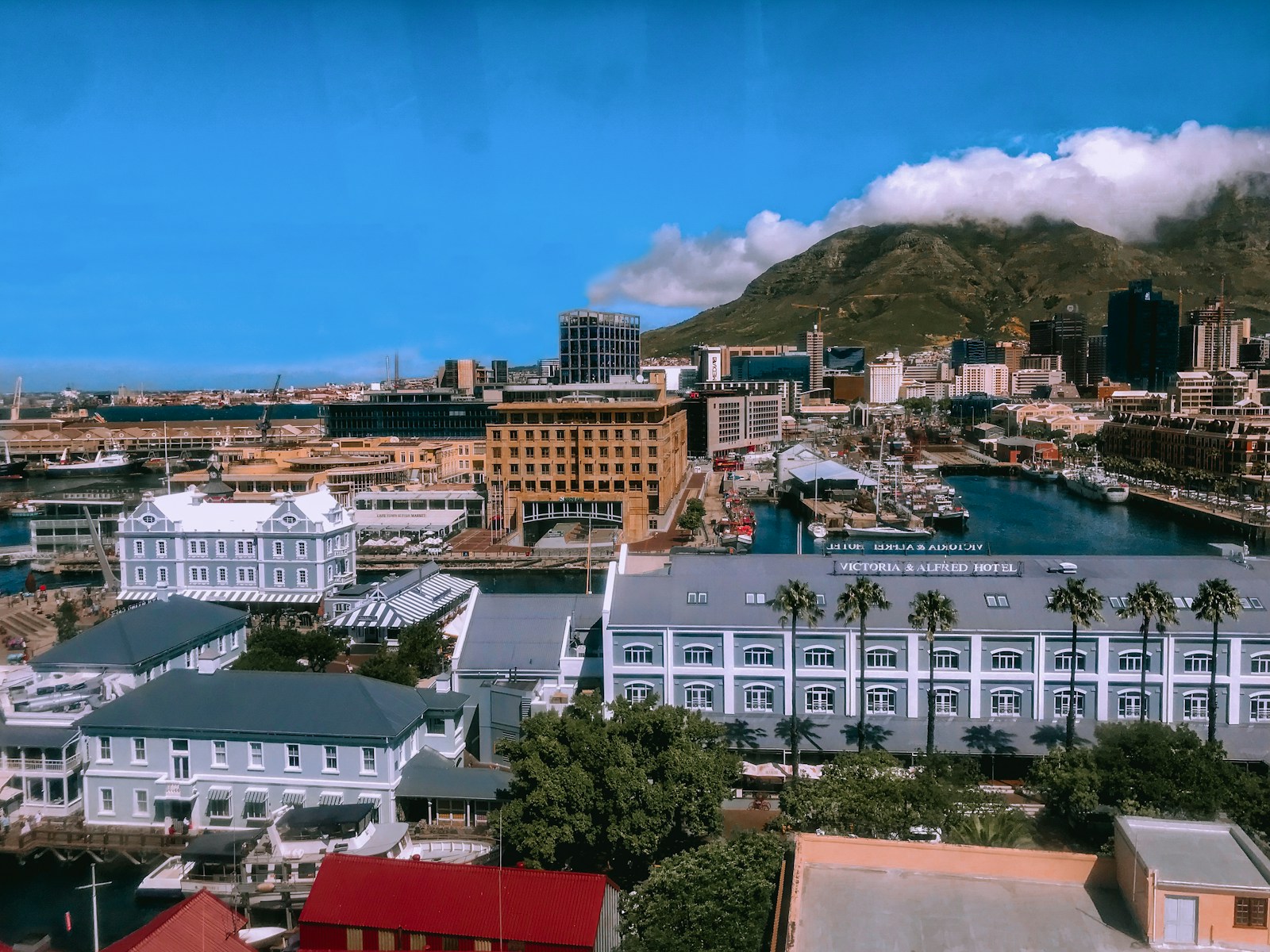 Cape Town Experience